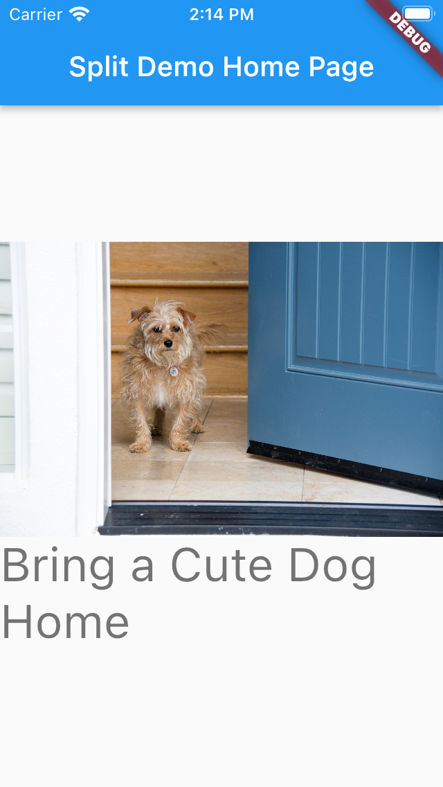 dog_by_the_door